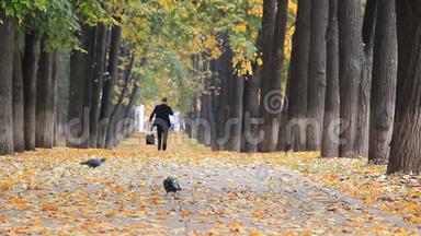 秋天公园里五颜六色的金色小巷，树叶飘落。 穿着蓝色西装的年轻人走在小巷里谈论